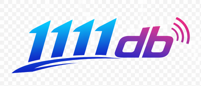 1111 db